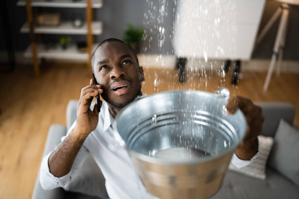 Best Water damage restoration near me  in Valhalla, NY