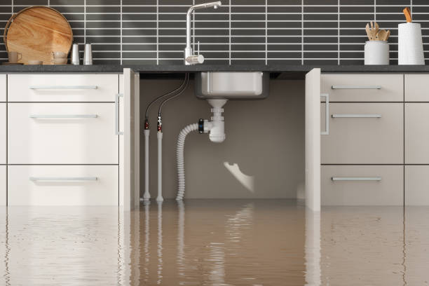 Best Water damage restoration near me  in Valhalla, NY