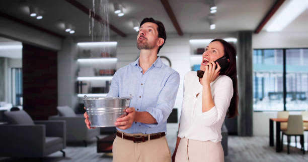 Best Ceiling water damage repair  in Valhalla, NY